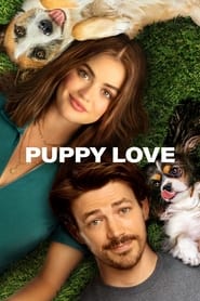 Puppy Love (2023) Telugu + Tamil + Hindi + Kor Dubbed